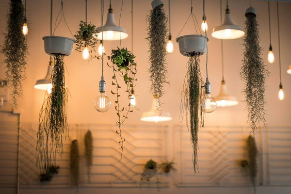 L'Art Subtil de l'Éclairage dans le Monde de la Décoration